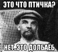 это что птичка? нет..это долбаёб