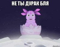 не ты дурак бля 