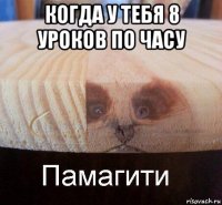 когда у тебя 8 уроков по часу 