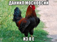 даниил московсий из 8 е