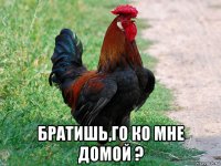  братишь,го ко мне домой ?