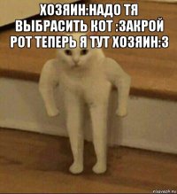 хозяин:надо тя выбрасить кот :закрой рот теперь я тут хозяин:3 