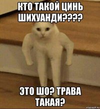 кто такой цинь шихуанди???? это шо? трава такая?