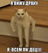 я вижу драку я: всем пи*дец)))