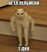 не ел пельмени 2 дня