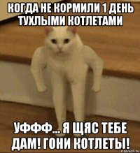 когда не кормили 1 день тухлыми котлетами уффф... я щяс тебе дам! гони котлеты!