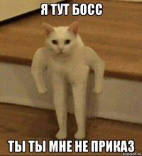 я тут босс ты ты мне не приказ