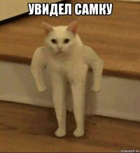 увидел самку 