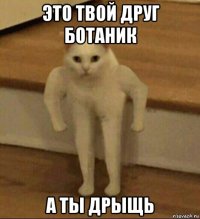 это твой друг ботаник а ты дрыщь