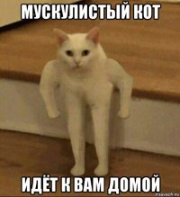 мускулистый кот идёт к вам домой