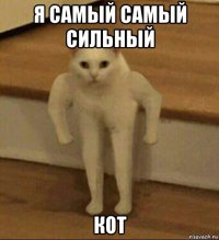 я самый самый сильный кот