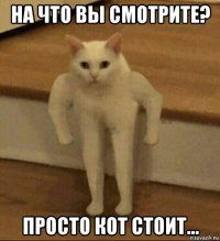 на что вы смотрите? просто кот стоит...