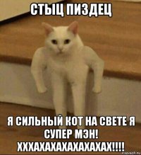 стыц пиздец я сильный кот на свете я супер мэн! хххахахахахахахах!!!!