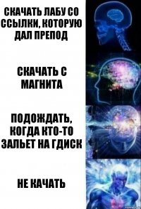 скачать лабу со ссылки, которую дал препод скачать с магнита подождать, когда кто-то зальет на гдиск не качать