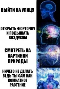 ВЫЙТИ НА УЛИЦУ ОТКРЫТЬ ФОРТОЧКУ И ПОДЫШАТЬ ВОЗДУХОМ СМОТРЕТЬ НА КАРТИНКИ ПРИРОДЫ НИЧЕГО НЕ ДЕЛАТЬ ВЕДЬ ТЫ САМ КАК КОМНАТНОЕ РАСТЕНИЕ