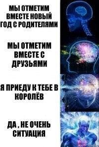 Мы отметим вместе Новый год с родителями Мы отметим вместе с друзьями Я приеду к тебе в Королёв Да , не очень ситуация