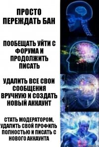 Просто переждать бан Пообещать уйти с форума и продолжить писать Удалить все свои сообщения вручную и создать новый аккаунт Стать модератором, удалить свой профиль полностью и писать с нового аккаунта