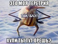 это моя теретрия хули ты тут орешь?