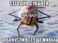 сегодня суббота а бонусли все еще живы