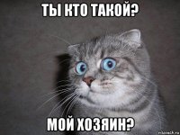 ты кто такой? мой хозяин?