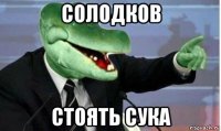 солодков стоять сука