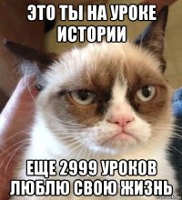 это ты на уроке истории еще 2999 уроков люблю свою жизнь