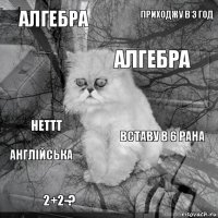 Алгебра Вставу в 6 рана Алгебра 2+2-? Неттт！ Приходжу в 3 год   Англійська 