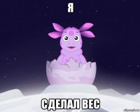 я сделал вес