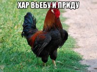 хар вьебу и приду 