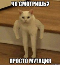 чо смотришь? просто мутация