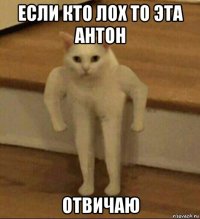 если кто лох то эта антон отвичаю