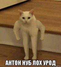  антон нуб лох урод