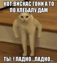 кот:вискас гони а то по хлебалу дам ты: ! ладно...ладно...