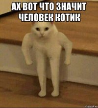 ах вот что значит человек котик 