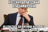 косенкова катерина владимировна не грустите до пятнице осталось немного продержаться