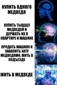 Купить одного медведя Купить тыщщу медведей и держать их в квартире и машине Продать машину и завалить хату медведями, жить в подъезде жить в медведе