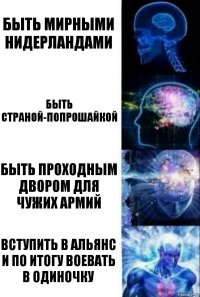 Быть мирными Нидерландами Быть страной-попрошайкой Быть проходным двором для чужих армий Вступить в альянс и по итогу воевать в одиночку