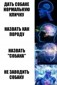 Дать собаке нормальную кличку Назвать как породу Назвать "собака" Не заводить собаку