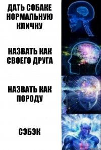 Дать собаке нормальную кличку Назвать как своего друга Назвать как породу Сэбэк