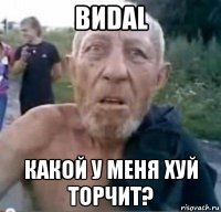 виdal какой у меня хуй торчит?