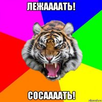 лежаааать! сосаааать!