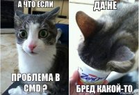 проблема в CMD ?