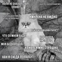 Коля не сказал стоп слово Кончается кислород Нихрена не видно Как я сюда попал? Что со мной будет Быстрее фотографируйте Кажется мне страшно Интересно во что меня оденут на похоронах Моя бедная шея Дайте исповедоваться