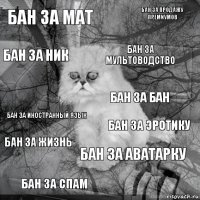 бан за мат бан за эротику бан за мультоводство бан за спам бан за иностранный язык бан за продажу премиумов бан за аватарку бан за ник бан за жизнь бан за бан