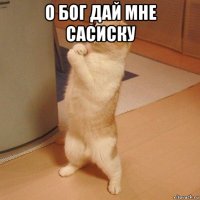 о бог дай мне сасиску 