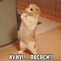  ну,ну! . . . пососи!)