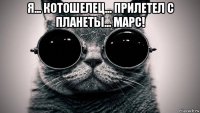 я... котошелец... прилетел с планеты... марс! 