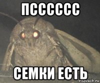 псссссс семки есть