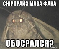 сюрпрайз маза фака обосрался?