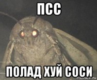 псс полад хуй соси